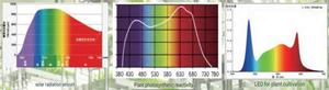 16W <b>LED</b> Grow <b>Tube</b> Light for Hydroponics and Vertical Farming, Full Spectrum Plant Growth Lighting - Product Image 3