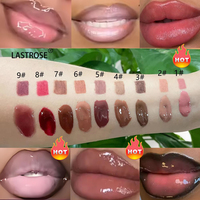 Kit Cadeau Végan 2 en 1 Rouge à Lèvres et Crayon à Lèvres Imperméable Anti-transfert Longue Tenue Haute Pigmentation Gloss Brillant
