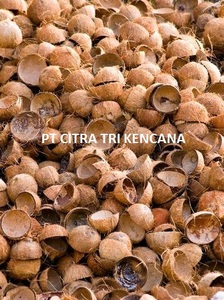 INDONESIA COCONUT SHELL CHARCOAL/POWDER RAW MATERIAL CARBON ACTIVATED 3 HOUR BURN,LESS THAN 5% MOISTURE IN Imbabura ECUADOR - Product Image 2