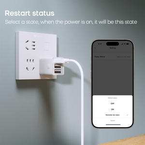 สวิตช์อัจฉริยะ TY-SW-USB Tuya Wifi / Zigbee พร้อมตัวตั้งเวลา ใช้งานร่วมกับอะแดปเตอร์ Tuya Smart USB Micro 5V Mini USB 1/2/3 พอร์ต - Product Image 6