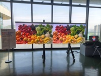 Pantalla LED Inmersiva IP65 para Pared, Pantalla Interactiva XR VR, Centro de Experiencia Digital, Museo, Espacio de Exhibición de Arte, Centro Comercial