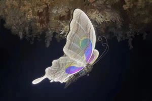 Ouvrez et fermez <span class=keywords><strong>le</strong></span> papillon <span class=keywords><strong>Le</strong></span> papillon avec des lumières déplacera les ailes décoratives - Product Image 4