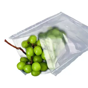 Grape Cosmetics Prevent Damage And Damage Fruit Transportation Protection Double-layer Air Column Bags