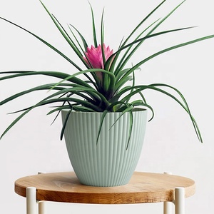 Prix d'usine Pots de plantes ronds en plastique épais pour jardin d'intérieur Conteneurs de <span class=keywords><strong>jardinage</strong></span> décoratifs Pots - Product Image 2