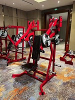 Máquina de press de pecho inclinado con placas de acero SK, segura para gimnasios comerciales, para ejercicios de espalda, con 6 soportes para pesas y ajuste de altura