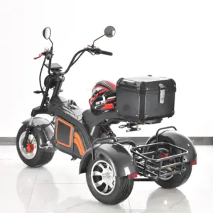 Triciclo eléctrico para adulto, tres ruedas, 48V 800W, diferencial, 3 ruedas, movilidad