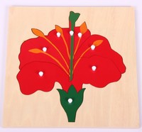 Jeu éducatif de botanique, fleurs, jouets en bois Montessori, puzzle en bois Montessori, puzzle 3D pour enfants