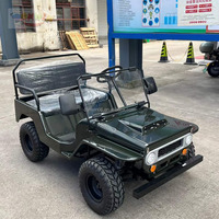 Voiture tout-terrain électrique Willys Jeep 4x4 pour adultes, buggy 150CC, mini kart, voiture classique, mini jeep à vendre, fabrication sur mesure