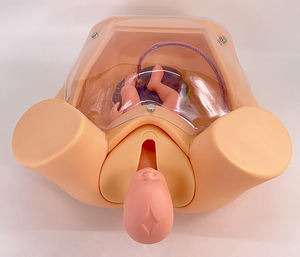 Simulateur de Mannequin de <span class=keywords><strong>Femme</strong></span> <span class=keywords><strong>Enceinte</strong></span> en PVC Avancé avec Jumeaux Poupée Bébé pour la Formation à l'Accouchement en Sciences Médicales - Product Image 5