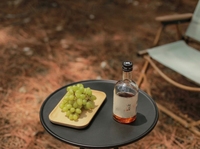Table de camping rectangulaire pliable en acier carbone avec base croisée – Mobilier d'extérieur au design traditionnel pour fêtes et pique-niques