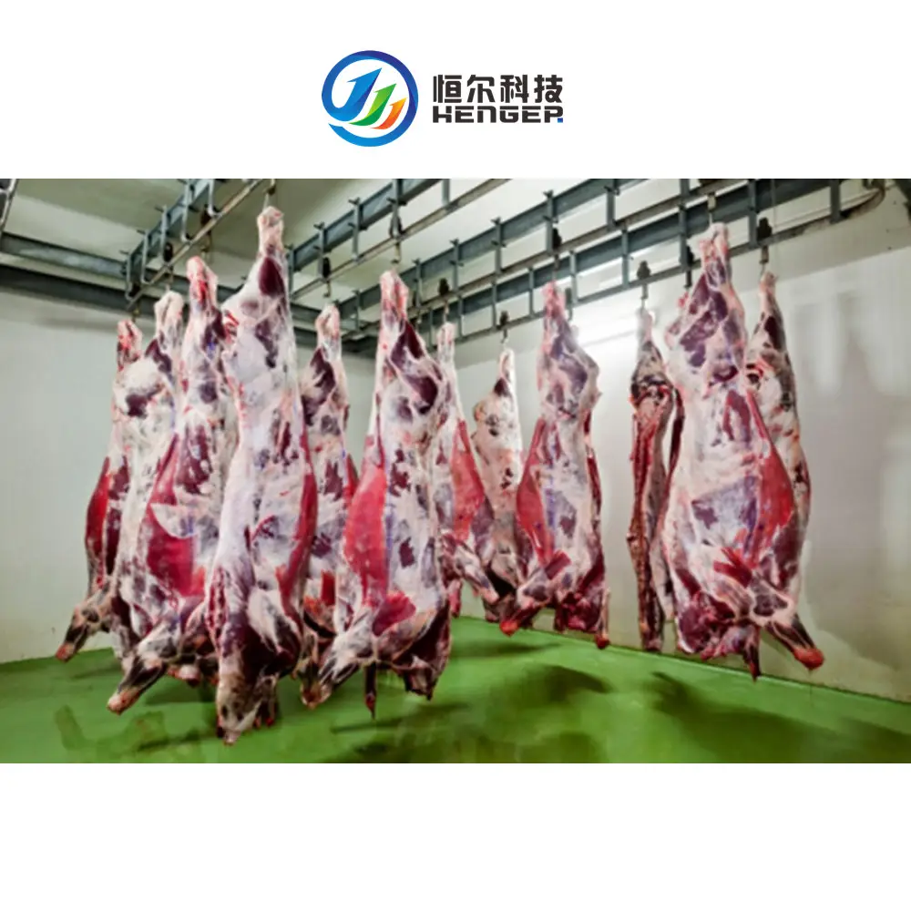 Equipo de matadero comercial, equipo de exterminio de ganado y cordero Halal para línea de corte de carne, taller con higiene