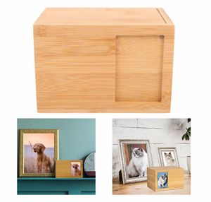 מפעל חם מוכר איכותי יוצא דופן עץ לחיות מחמד אבן עץ באיכות גבוהה עבור שריפת חתול - Product Image 4