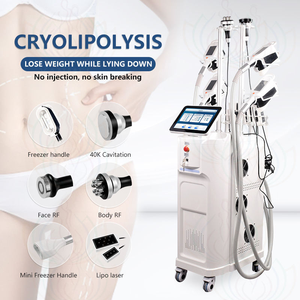 Máquina de Criolipólisis 6 en 1 de Venta Directa de Fábrica, Máquina de Criolipólisis para Esculpir el Cuerpo, Congelación de Grasa, Crioterapia, Adelgazamiento por Crioterapia - Product Image 3