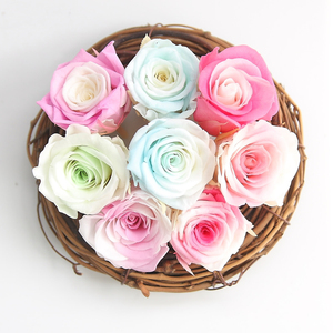 Y rosa oem promocional madre preserv rosa de alta calidad arco iris y cabezas rosa - Product Image 2