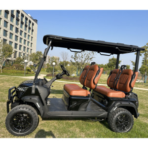 Hersteller-Golfwagen mit Allradantrieb, Straßentauglich, Anpassbare Farben, Logo, Sitzmaterial, Batteriekonfiguration - Product Image 4