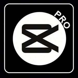 Licencia de Software Capcut Pro, Cuenta Capcut Pro, Edición de Video, Suscripción a Capcut 1 Mes - Product Image 4