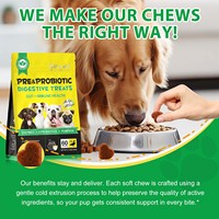 Oimmal Friandises à Mâcher Souples Pré- & Probiotiques pour Chiens avec Enzymes, Citrouille & 6 Souches de Probiotiques – Complément pour la Santé Digestive