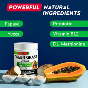 OEM/ODM erba verde morbido mastica integratori per cani da compagnia tenere erba verde supporto intestino digestivo Pet cura integratore sanitario per animali domestici - Product Image 6