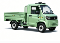 Super Offre 2026 BAIMA Mini Camion Électrique pour Adultes, 4 Roues, avec COC en option, pour le Transport de Marchandises, Nouvelle Énergie, Haute Vitesse 45km/h, Utilitaire, 2 Portes