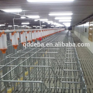 Nuova condizione su misura cassa di gestazione di allevamento di suini gabbia animale di alta qualità allevamento suino garanzia di 1 anno - Product Image 5