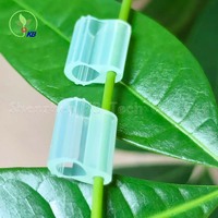 Clips de greffage pour tomates, poivrons et aubergines, clips pour cucurbitacées, clips pour greffages de tomates
