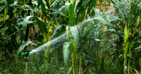 ChenMei CM206 360 Gear Drive 1/2 Inch Plastik Adjustable Rotary Arm Irrigation Sprinkler untuk Irigasi Pertanian, Kebun, Rumput, dan Rumah Kaca