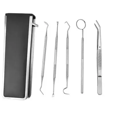 Stainless Dental Tool Set Dentist Tooth Clean Hygiene Picks Mirror Kit Oral Health Tooth Cleaning Inspection Tartar Cleaner Tool