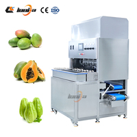 Machine à éplucher les fruits et légumes automatique à 8 ou 16 stations, best-seller, pour éplucher les mangues, éplucheur commercial de mangues