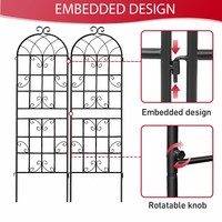Arche de jardin en fer forgé d'extérieur avec motif d'oiseaux et treillis pour plantes grimpantes pour l'aménagement paysager de jardin (lot de 2)
