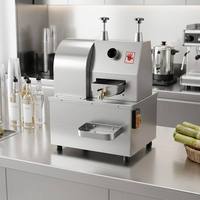 Elektrische suikerrietpers van roestvrij staal, sapcentrifuge voor fruit & groenteverwerking