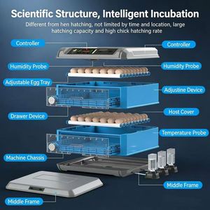 Intelligent Incubator, Small Household Fully Automatic Incubator, <b>Egg</b> Incubator, Rutin Chicken and Bird <b>Egg</b> Incubator - Product Image 5