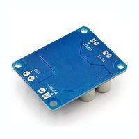 Papan Amplifier Digital Saluran Tunggal XH M313 TPA3118 PBTL 1X60W