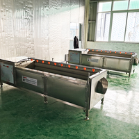 YIHAI Industriële Appel- en Groentewasmachine Model WL400 380V Eenvoudig te bedienen voor voedselverwerkingslijnen