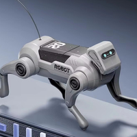 Fabrikpreis 2,4GHz RC Roboter Elektrischer DIY Zusammengebauter Plastik-Mechanischer Hund Pädagogisches Ferngesteuertes Gehspielzeug für Kinder