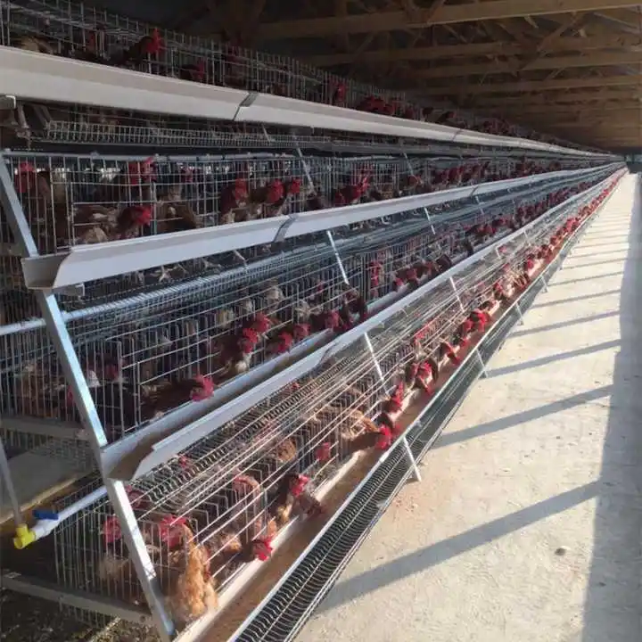 Uygun fiyat tavuk için bir tip tavuk  tel örgü kafes Broiler kuş üreme kafesleri