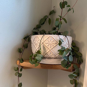 Gỗ Nổi Góc Kệ Tường Gắn Kết Cuối Tròn Nổi Loa Kệ Với Lỗ Dây Cho Nhà Máy Nhỏ Khung Ảnh Cho Nhà - Product Image 2