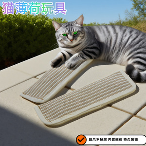 Rascador para Gatos con Catnip, Resistente al Desgaste, para Gatos de Interior - Product Image 4
