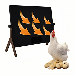 Incubadora <span class=keywords><strong>de</strong></span> Pollitos con Termómetro, Nueva, en <span class=keywords><strong>Venta</strong></span>, <span class=keywords><strong>para</strong></span> Incubación Casera a Pequeña Escala - Product Image 4