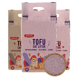 6L sans poussière rapide agglomérante charbon actif Type Tofu fournitures pour animaux de compagnie chat litière sable