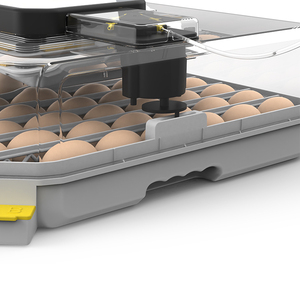 Hd Volautomatische Incubator Voor Het Uitbroeden Van 48 Eieren Te Koop - Product Image 3
