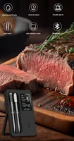 Termometer Makanan & Daging Nirkabel Tahan Air IP67 dengan 2 Probe & Kontrol Aplikasi Termometer Digital Pintar untuk Memasak
