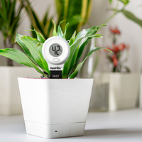 Compteur d'humidité du sol RAINPOINT pour plantes, testeur de sol pour l'humidité, capteur numérique, compteur d'eau pour le jardin