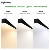 Luminaire linéaire LED encastré, profil en aluminium noir, lampe linéaire intégrée, indice de protection IP54, dimmable, garantie 5 ans, pour l'éclairage de bureau