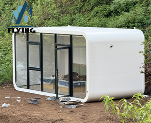 Prefabrik taşınabilir 20ft 40ft özelleştirilmiş Apple kabin Pod kapsül yeşil konteyner ev lüks <span class=keywords><strong>2</strong></span> 3 yatak odası minik villa otel ofis - Product Image 2