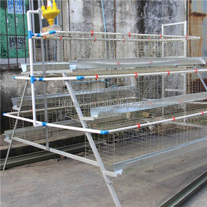 Chất Lượng Hàng Đầu Gia Cầm Thiết Bị Trang Trại Đẻ Trứng Gà Lồng Hệ Thống Hai Lớp Pin Gà Lồng - Product Image 4