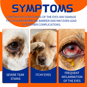 L'élimination rapide des taches de larmes de chien mâche de délicieuses friandises à mâcher pour petits et grands chiens suppléments de soins de santé pour animaux de compagnie - Product Image 4