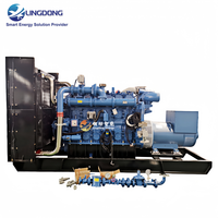 Groupe électrogène conteneurisé au biogaz CCHP 400 kW, puissance silencieuse 500 kVA, alternateur sans balais Yuchai YC6C750N-D30 pour usine alimentaire