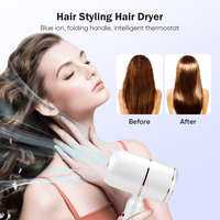 Salon professionnel 2000W sèche-cheveux diffuseur mural pliable voyage sèche-cheveux moteur à courant continu électrique pour hôtels usage domestique