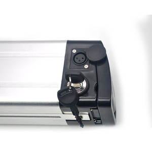 실버 물고기 전자 자전거 48V 20ah 30ah 전기 자전거 배터리 18650/21700 리튬 이온 팩 500W 1000W 1500W 모터 - Product Image 5