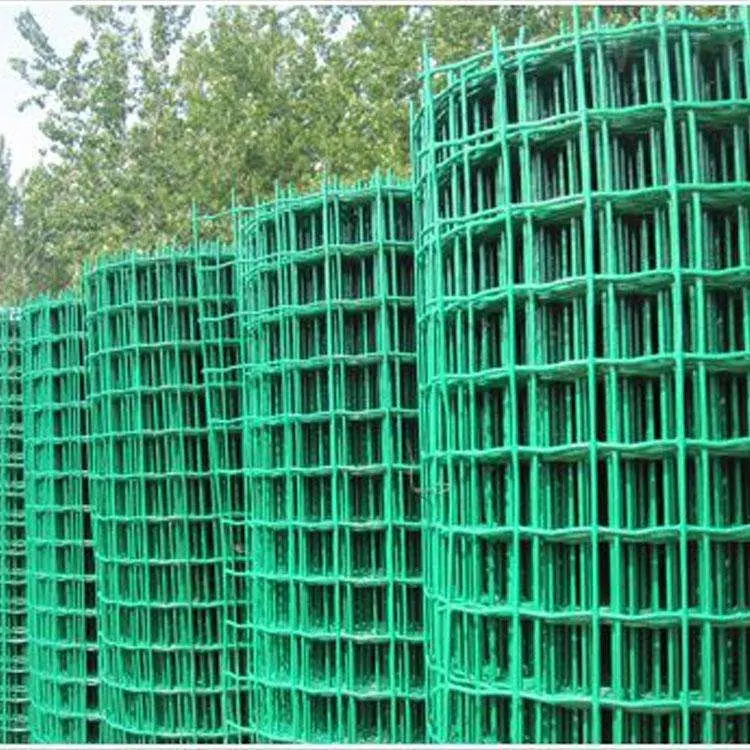 Phổ biến giá rẻ PVC tráng hàn dây lưới được sử dụng trong chim/Thỏ/con chó nhỏ lồng, hàn dây hàng rào lưới CuộN